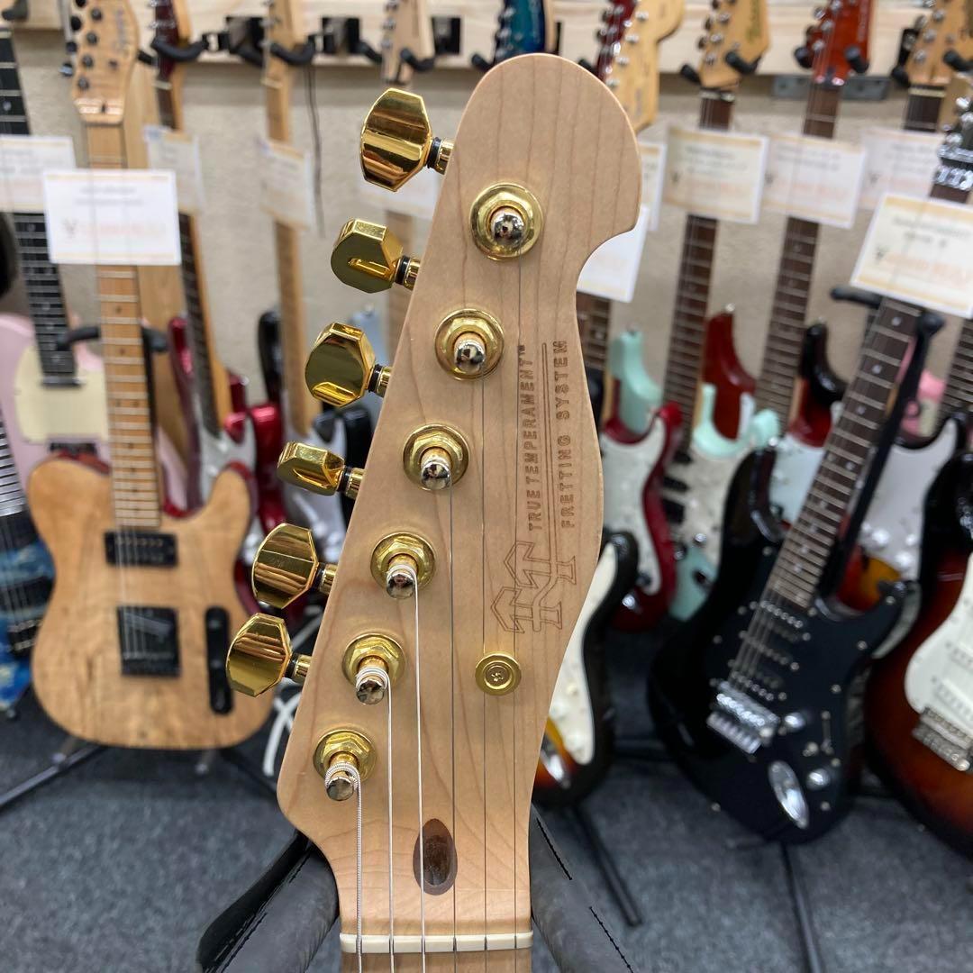 【9801】 True Temperament fretting system