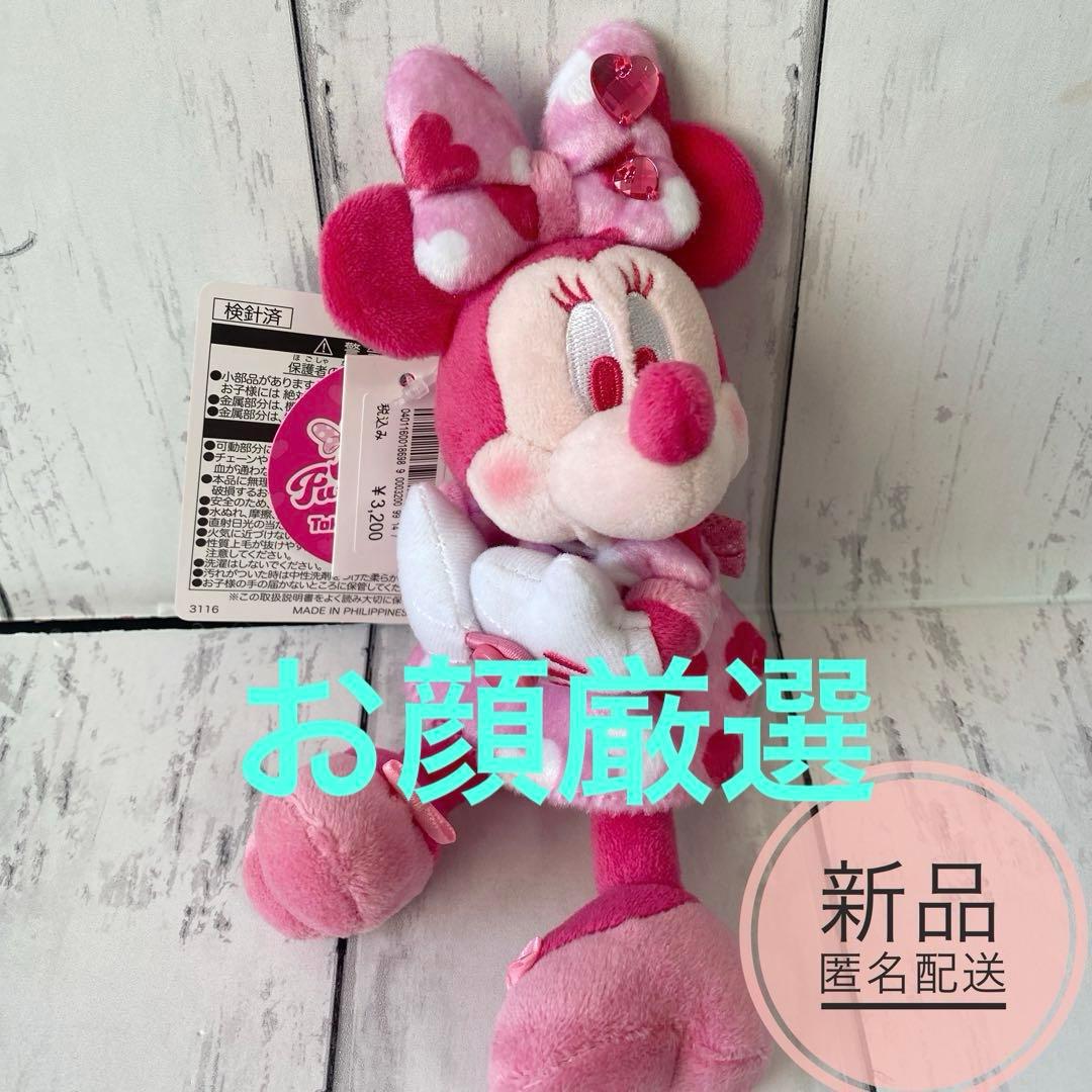 ディズニー パルパルーザ ぬいぐるみバッジ ぬいば ミニー ファン