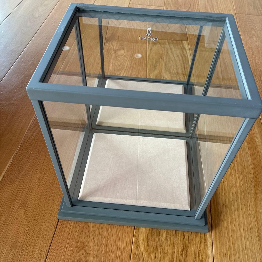 ペルー産 巨大ベッコウバチ 105mm(翅)