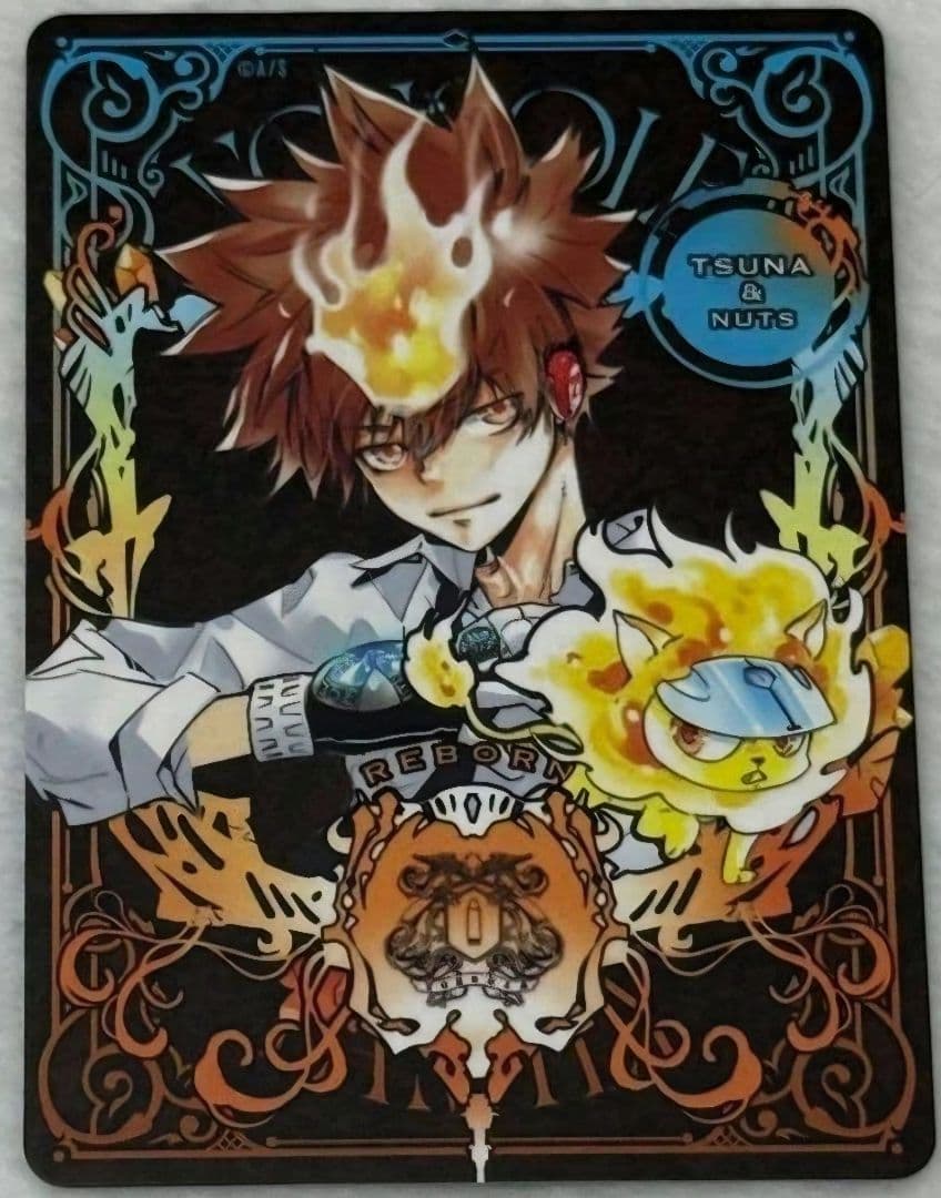 沢田綱吉　リボーン　マンガボドゲ　ジャンプフェスタ　ジャンフェス限定　特典 ジャンプフェスタ 2026リボーン マンガボドゲ ボードゲーム 特典付き