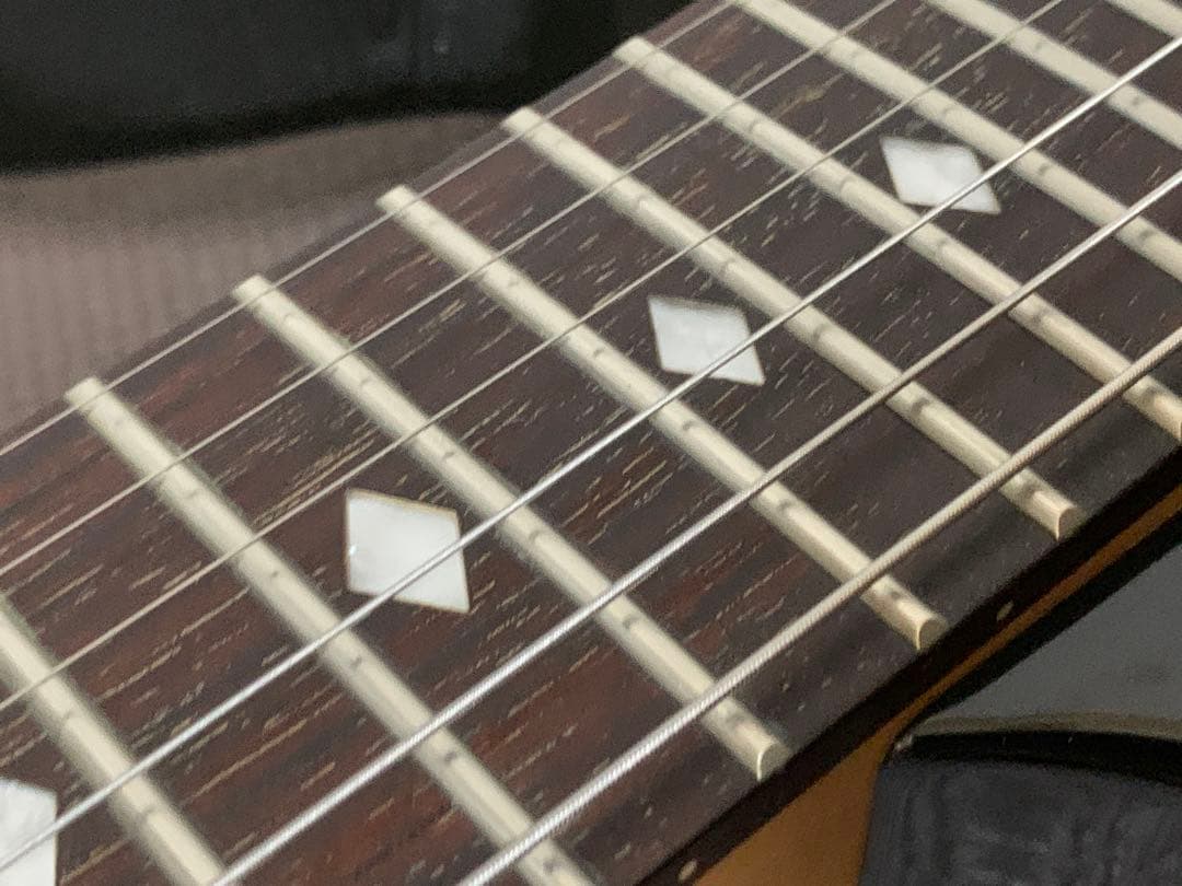 Chatting Bird Mockingbird モッキンバード hide