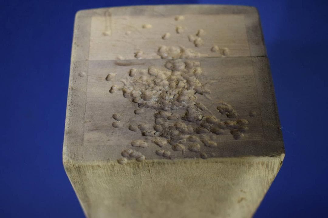 真作/陽香/彩色/山水漁師図/桐共箱付/布袋屋掛軸HG-818