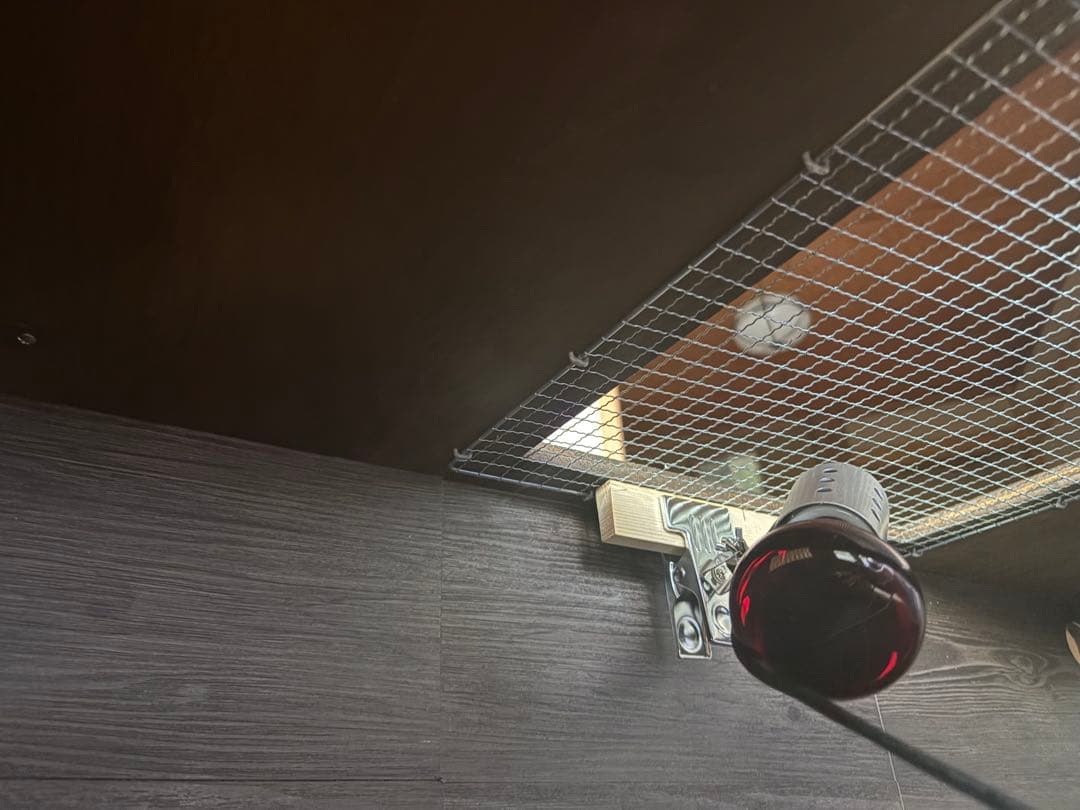 爬虫類ケージ90×50×45 フトアゴ、リクガメ、ハリネズミ 最終値下げ