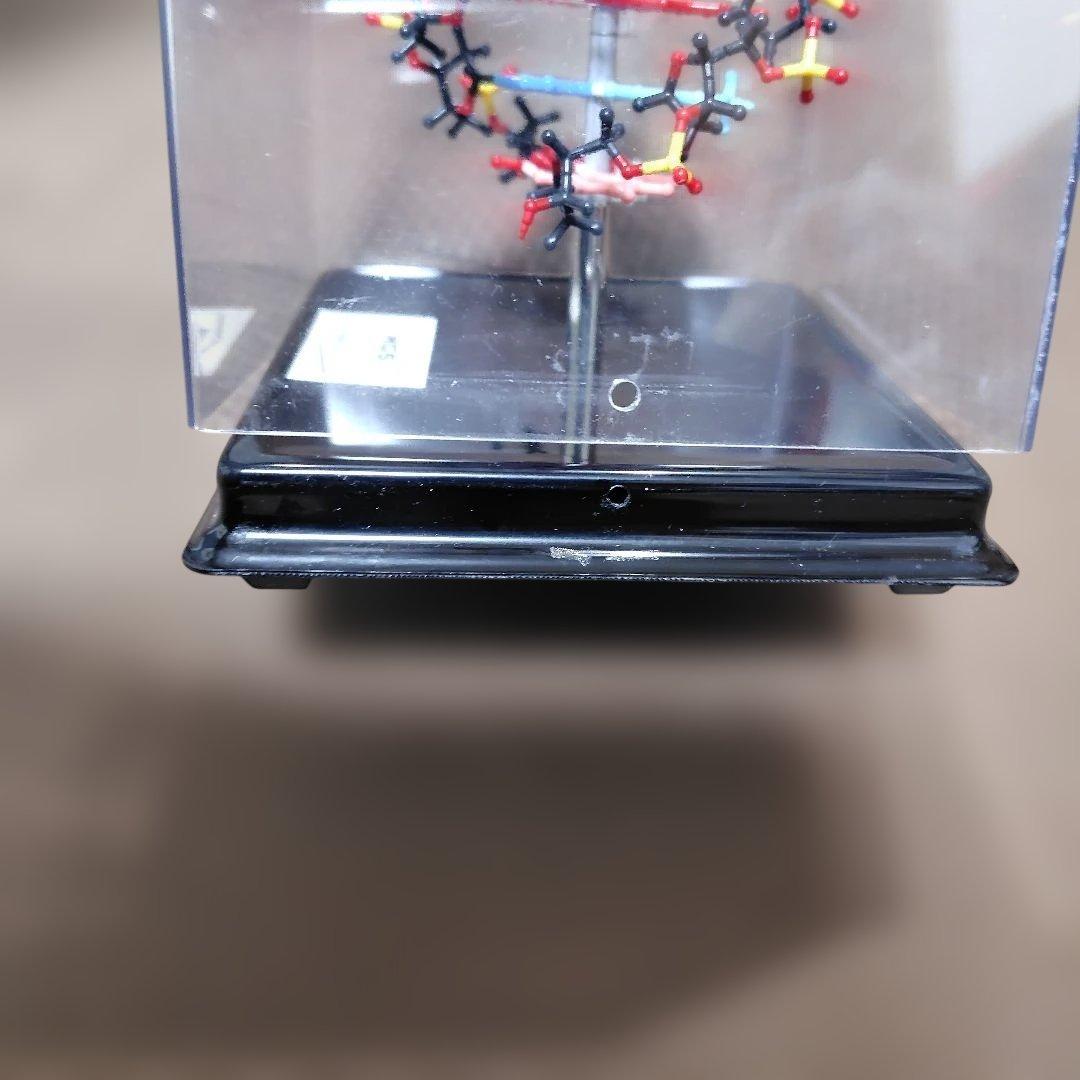HGS DNA model MARUZEN 二重螺旋モデル 丸善 - メルカリ