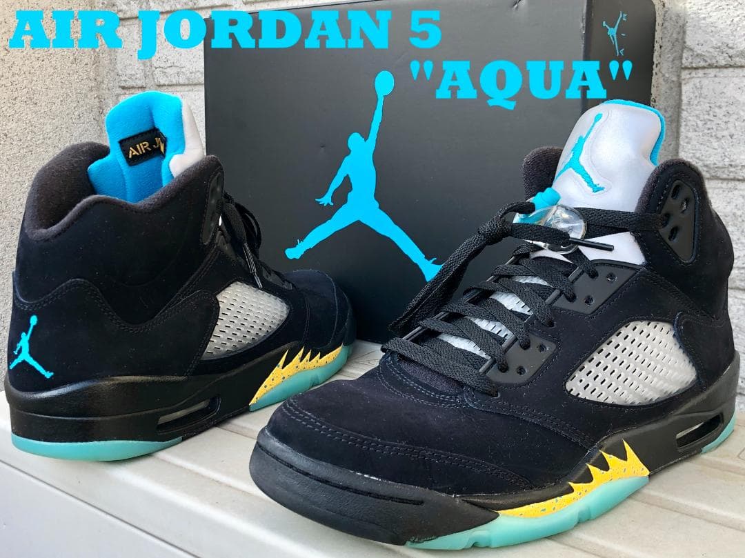 超貴重 ランナウェイズ チェリーカリー 1976年ポスター 大判 絹目表面