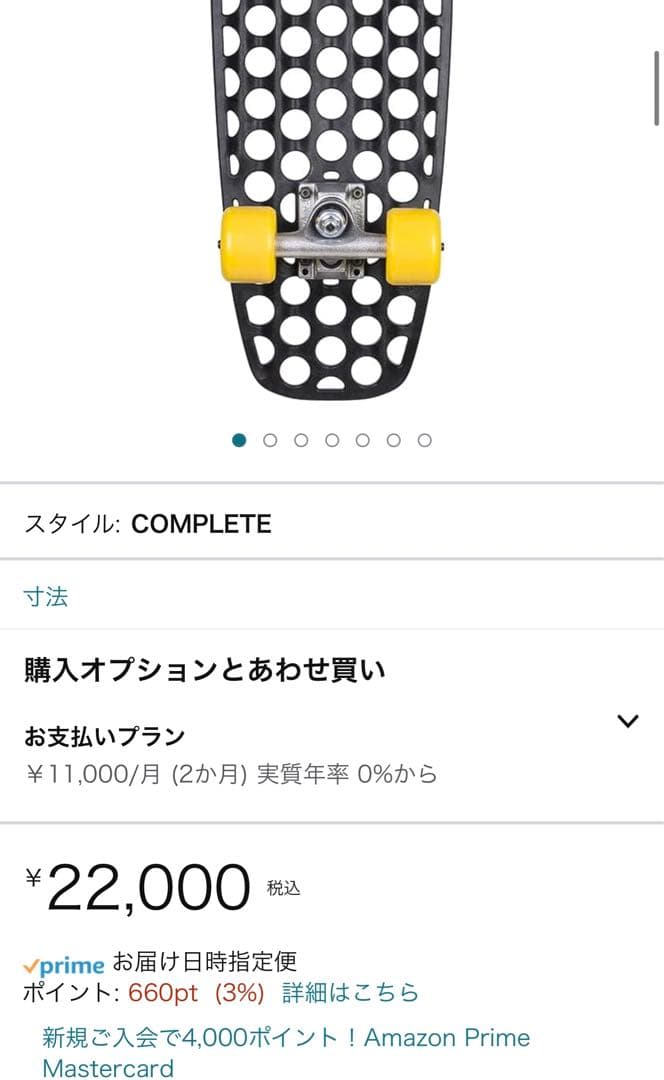 (ランダー)  LANDER 24.5インチ  RIO ミニクルーザー