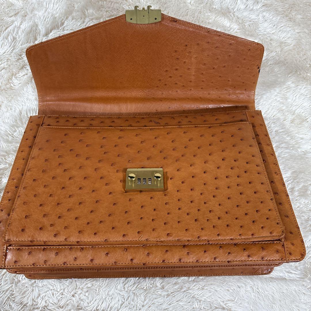 ビジネスバック オーストリッチ エキゾチックレザー JRA