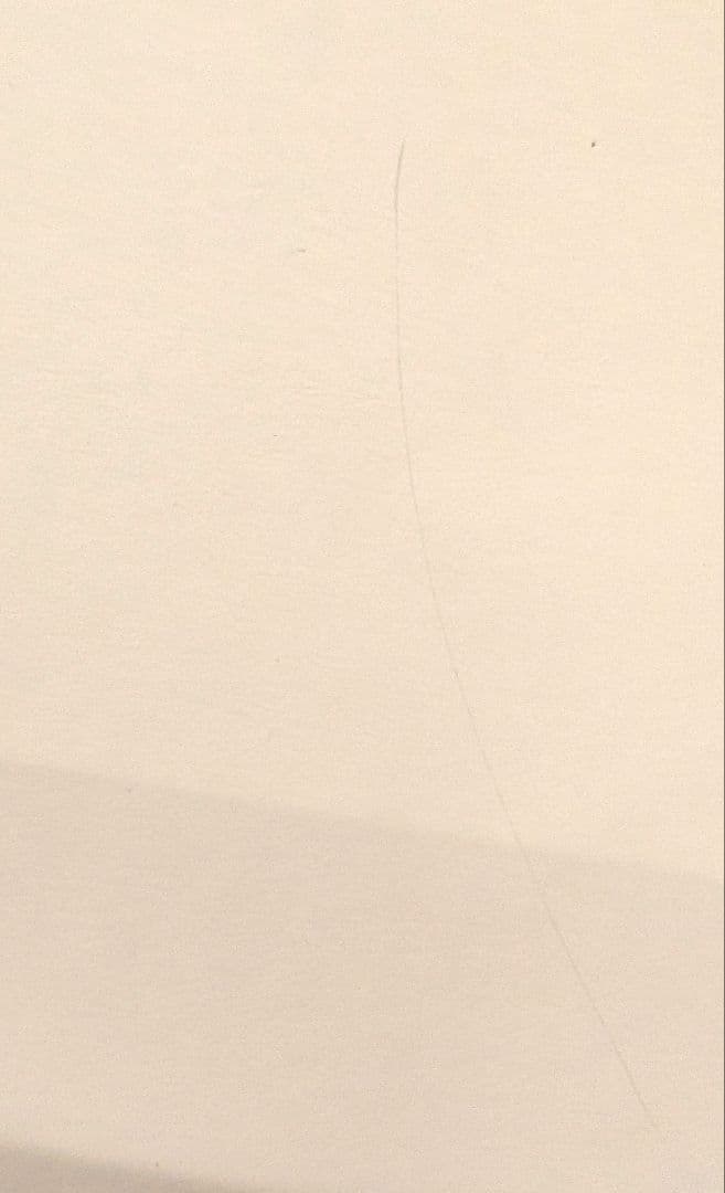 Fate stay night　ギルガメッシュ　ランチョンマット　2点