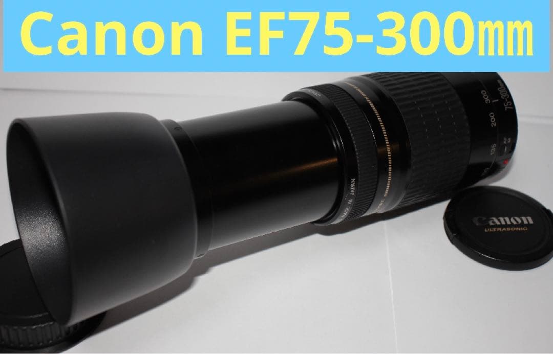 人気の300㎜☆超望遠レンズ☆CANON EF 75-300mm F4-5.6 Amazon.com : Canon EF 75-300mm f/4-5.6 III Telephoto Zoom Lens for