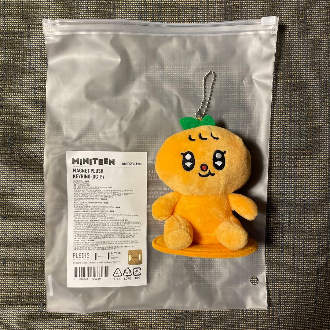 SEVENTEEN セブチMINITEEN ミニティーン スングァン プギュリ