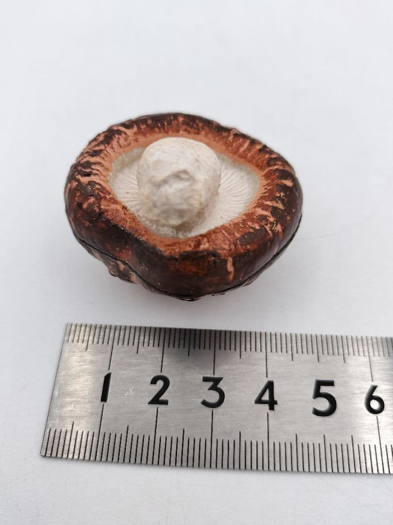 b120 【新品・未使用】香合 乾漆 椎茸 畦地粒表 多喜翁 木箱 茶道具 風炉