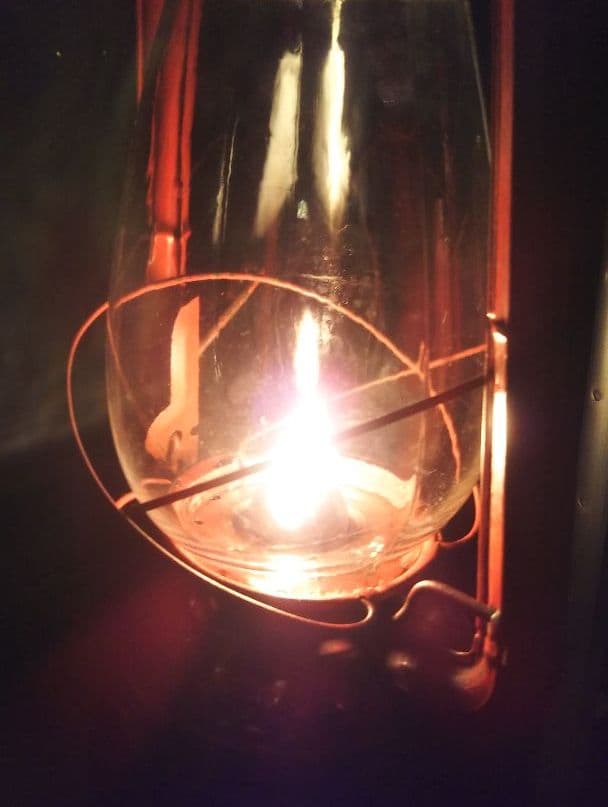 犬補助栄養食 ポン菓子 大容量300ml米1合 ポップコーン 日本語説明書付d