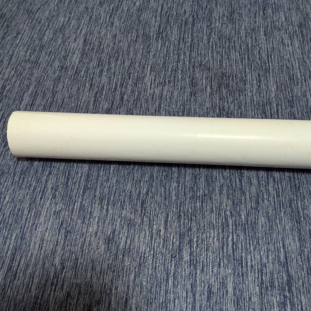 レア　サンドラディー　ポスター