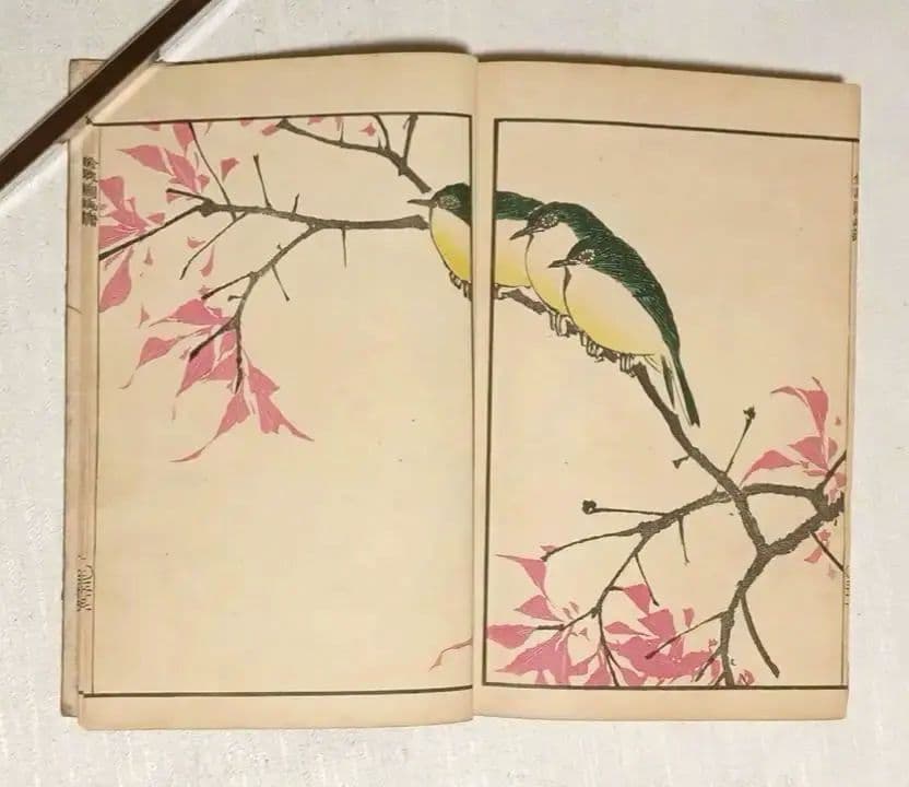 金波園画譜No.2（色刷り木版画本) 河村文鳳画、文化8年出版 - メルカリ