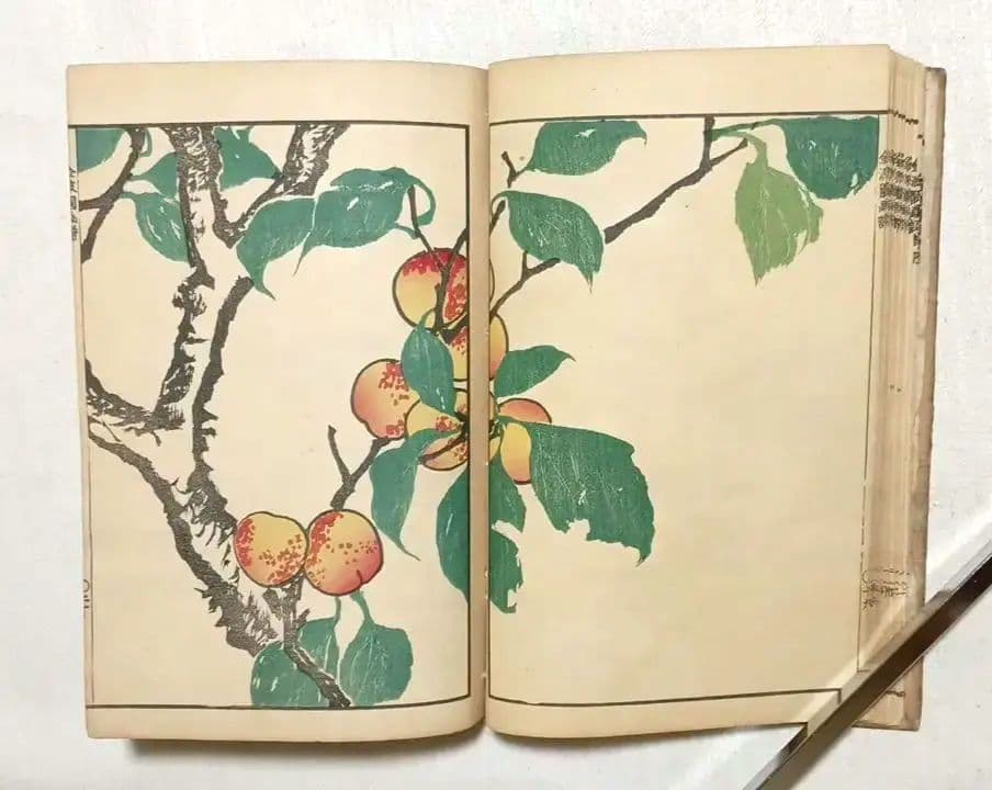 金波園画譜No.2（色刷り木版画本) 河村文鳳画、文化8年出版 - メルカリ