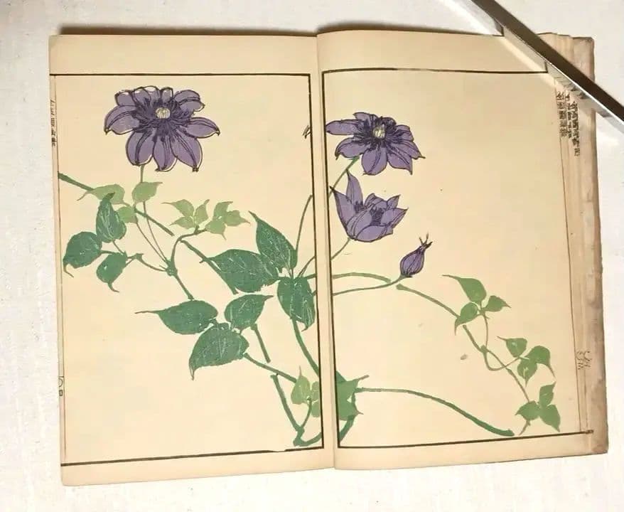 金波園画譜No.2（色刷り木版画本) 河村文鳳画、文化8年出版 - メルカリ