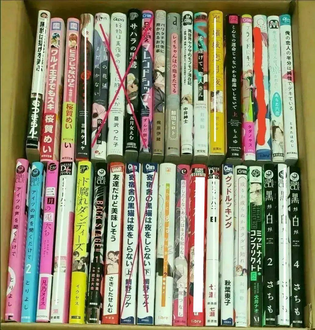 BLコミック まとめ売り バラ売り可 漫画 ボーイズラブ ④ ちふゆ