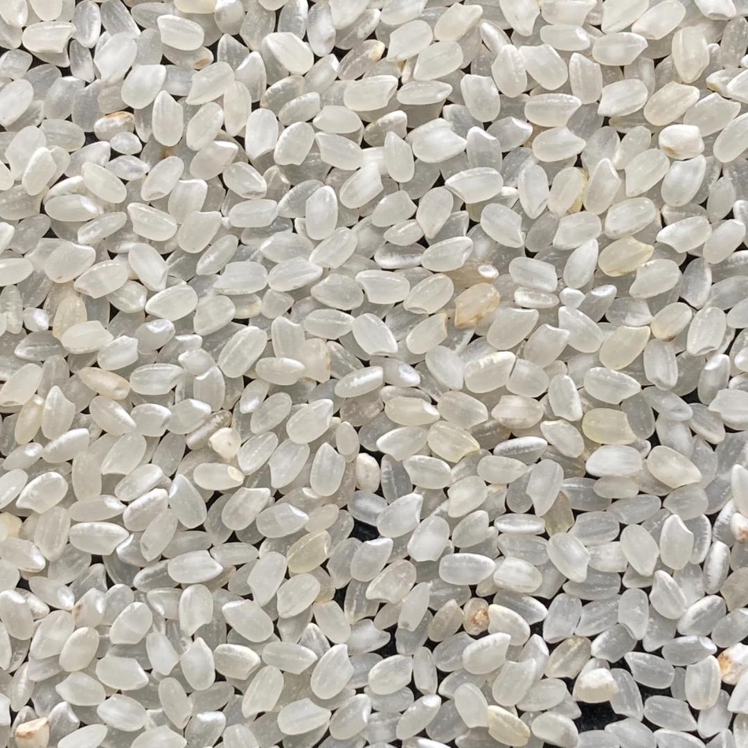 20kg 小米 鳥の餌 砕米 色彩選別機で飛ばしたお米等です