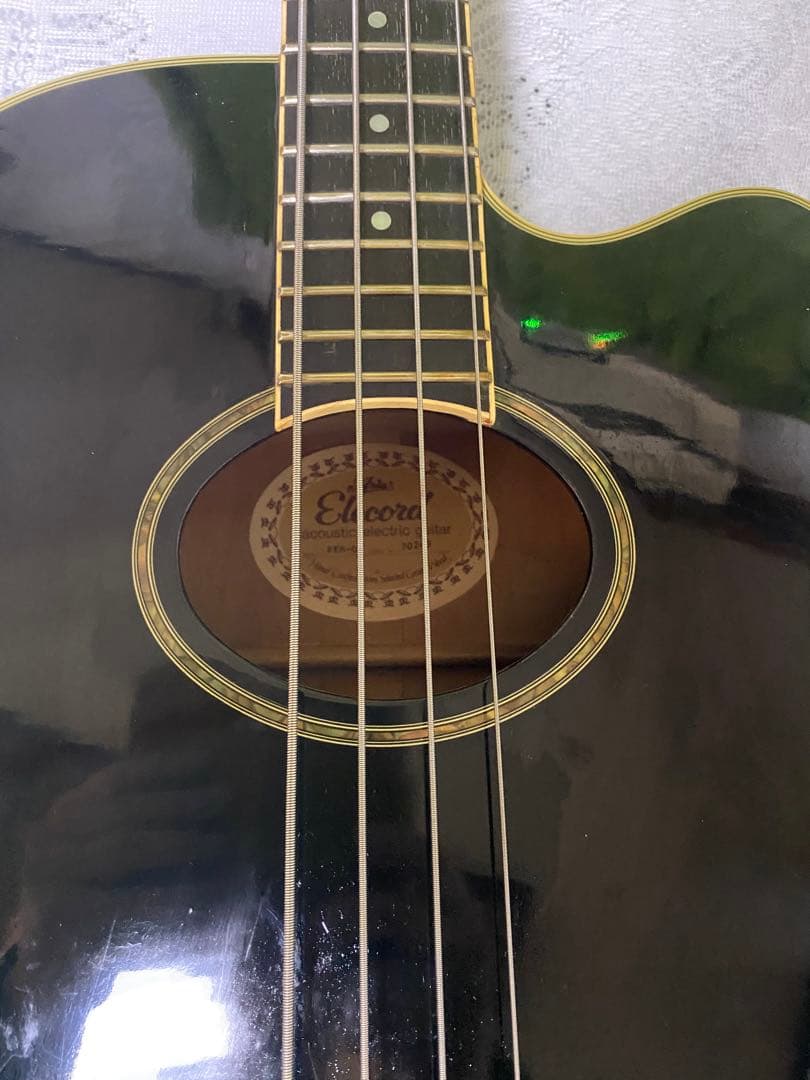 アンプラグで活躍！Aria Elecord FEB-02 エレアコベース