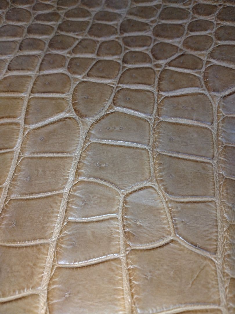 クロコダイル　ハンドバック　肩掛け　大きめサイズ