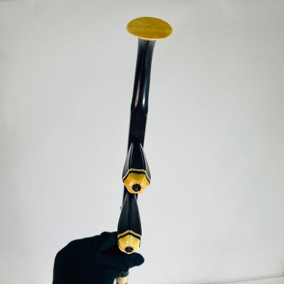 【保証書付き】 二胡 ケース付 本蛇皮製 YMHER30