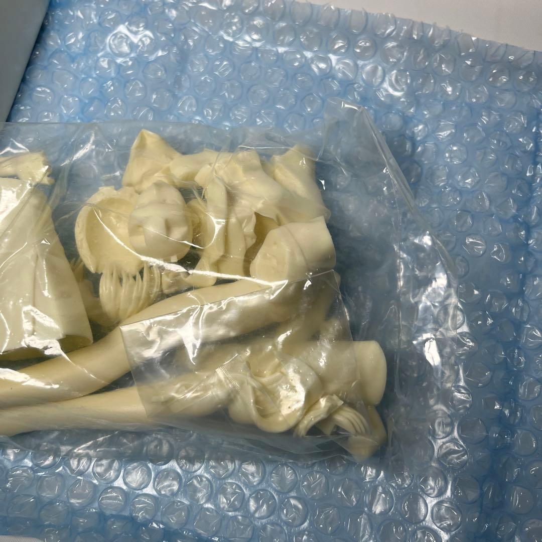 未使用　アミエ・グラン 綾波レイ Sein(ザイン) 1/6 ガレージキット