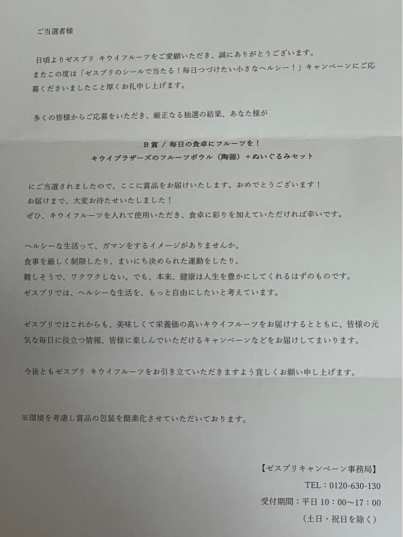 キウイブラザーズ フルーツボウル(陶器)➕ぬいぐるみ2点 キャンペーン当選品
