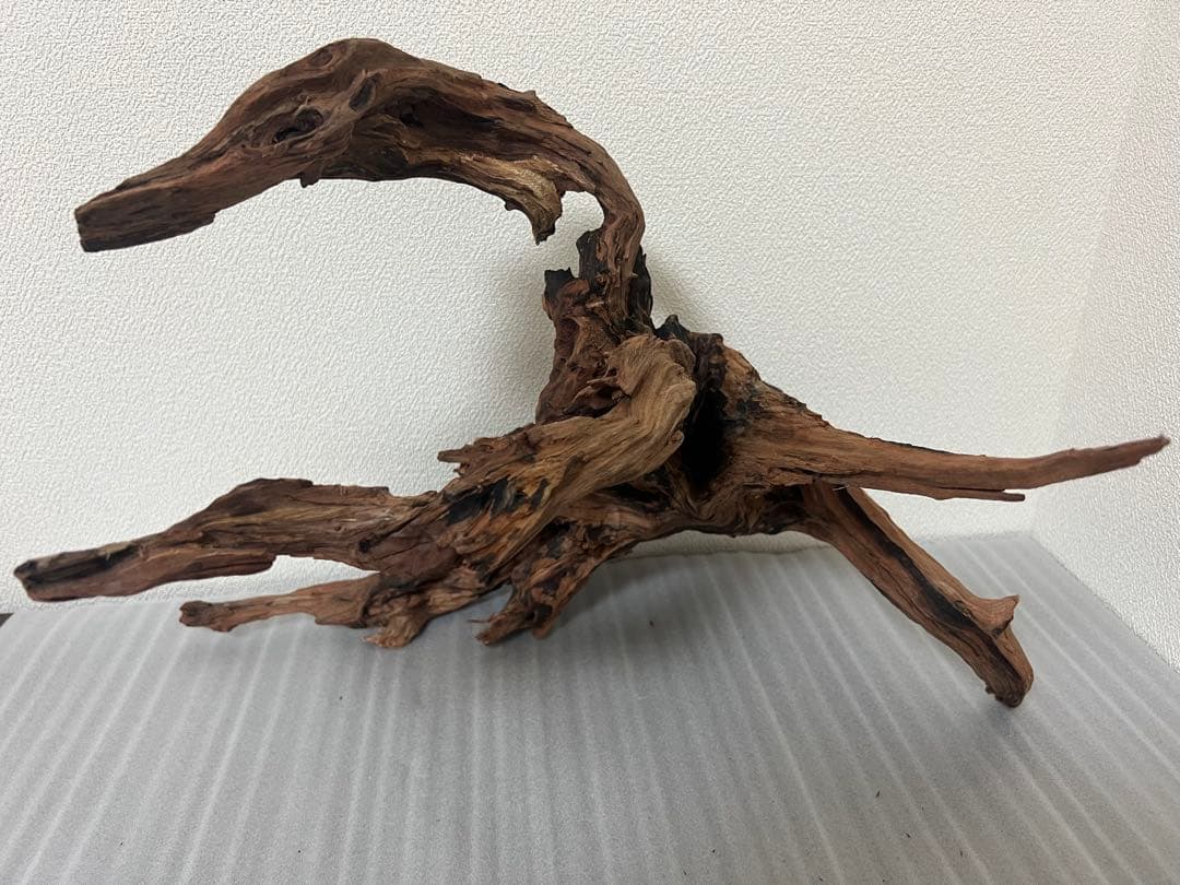 HX-080 流木 ホーンウッド マシンガンウッド アクアリウム ブランチ