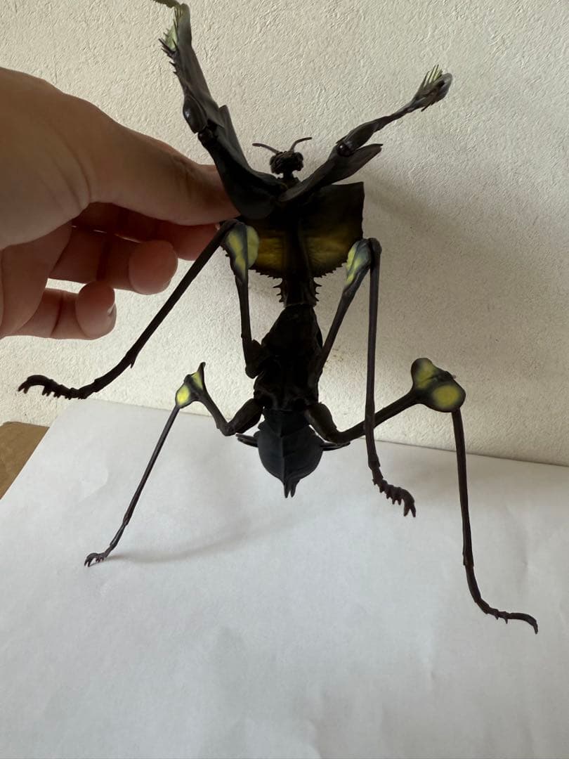 シ*ン様 いきもの大図鑑アドバンス ニセハナマオウカマキリ