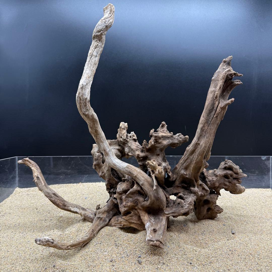 黄虎石セット 約13㎏