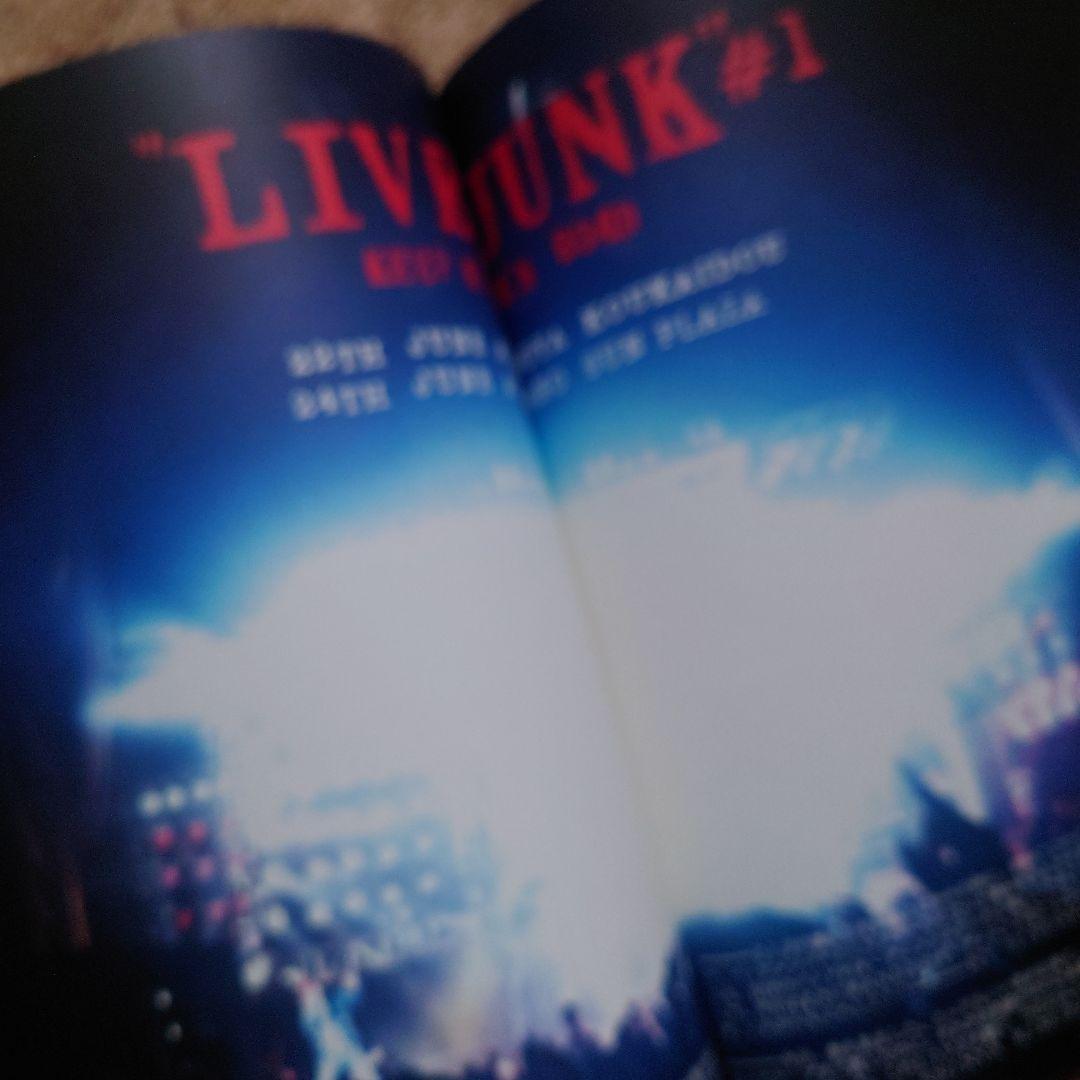 WANDS LIVE-JUNK ♯2 パンフレット WANDS LIVE JUNK #2 ツアー