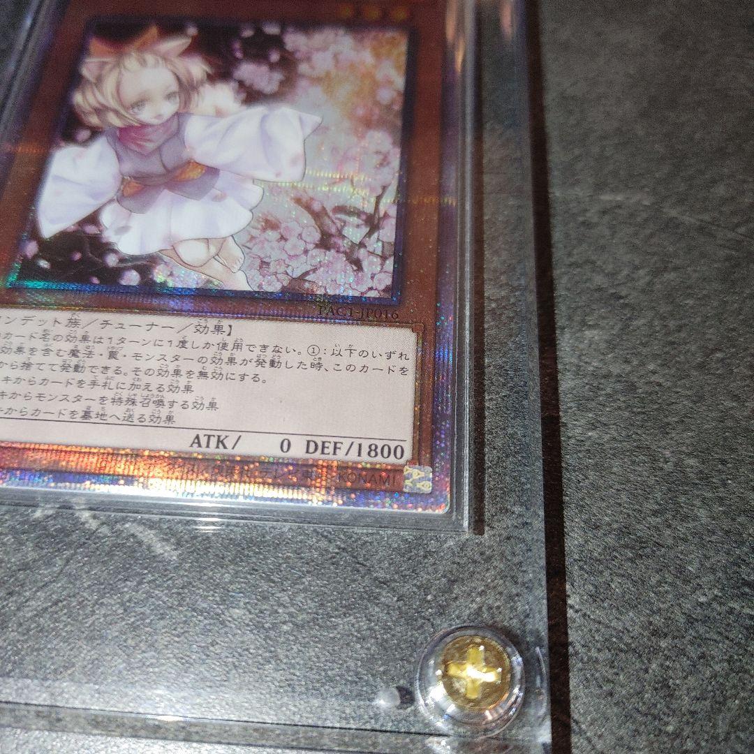 遊戯王　灰流うらら　プリズマ　ホログラムエラー　はるうらら