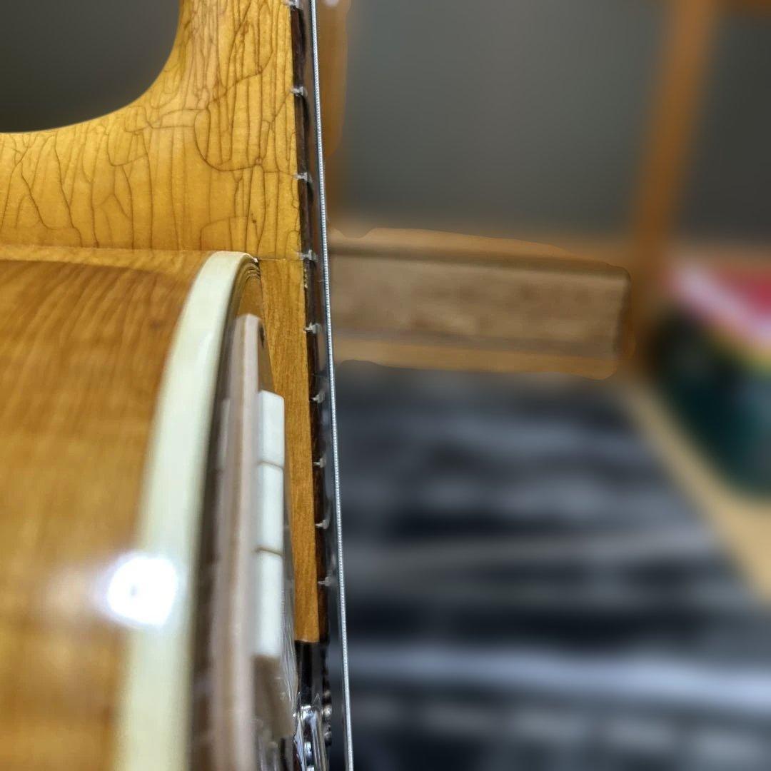 TEISCOセミホロウボディ 3ピックアップフルアコギター 日本製