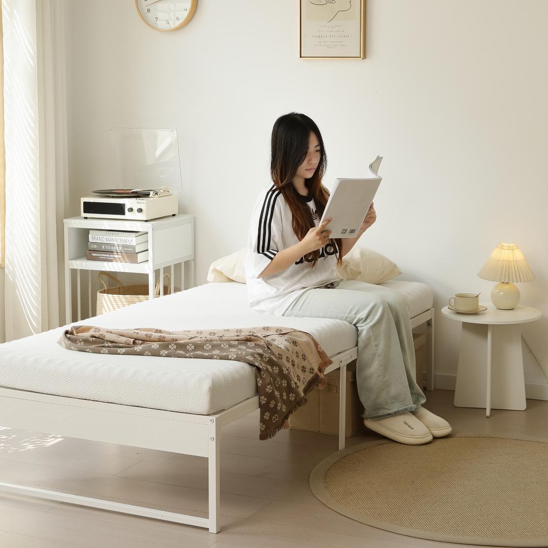 赤字価格！【シングル】ベッドフレーム 木製×スチール パイプベッド　WHITE