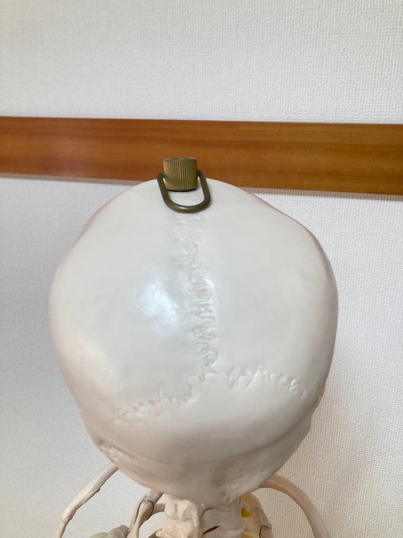 ☆レア 全身人体模型 骨格標本 約180cm 可動式 キャスター付き 医学