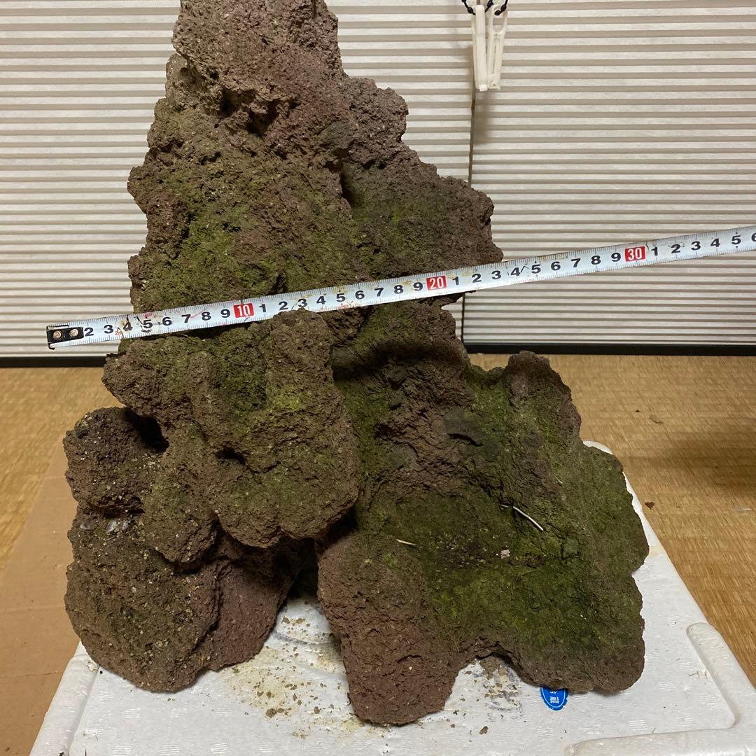 美形】軽石 岩石 水槽 装飾 アクアリウム NO4 美形】軽石 岩石 水槽