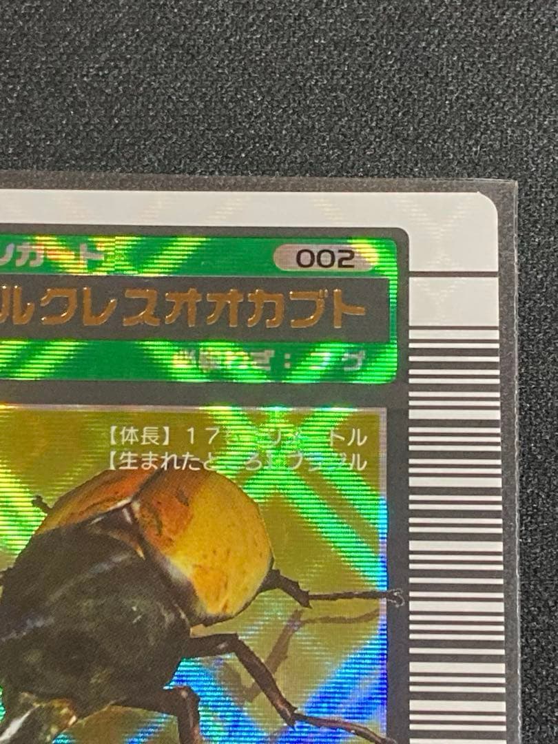 またこ ヘルクレスオオカブト2003 SPRING春 学名黒バーコードキラ