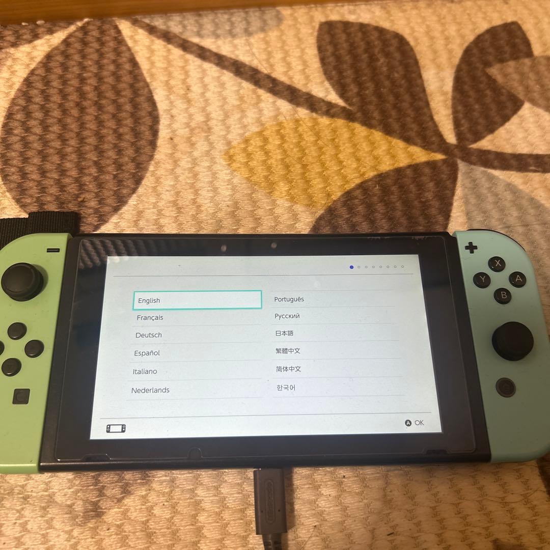 Nintendo Switch あつまれどうぶつの森版 本体セット