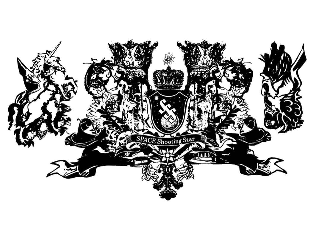 本物の流れ星の粉✨✨✨⭐️隕石⭐️✨✨✨ 本物の