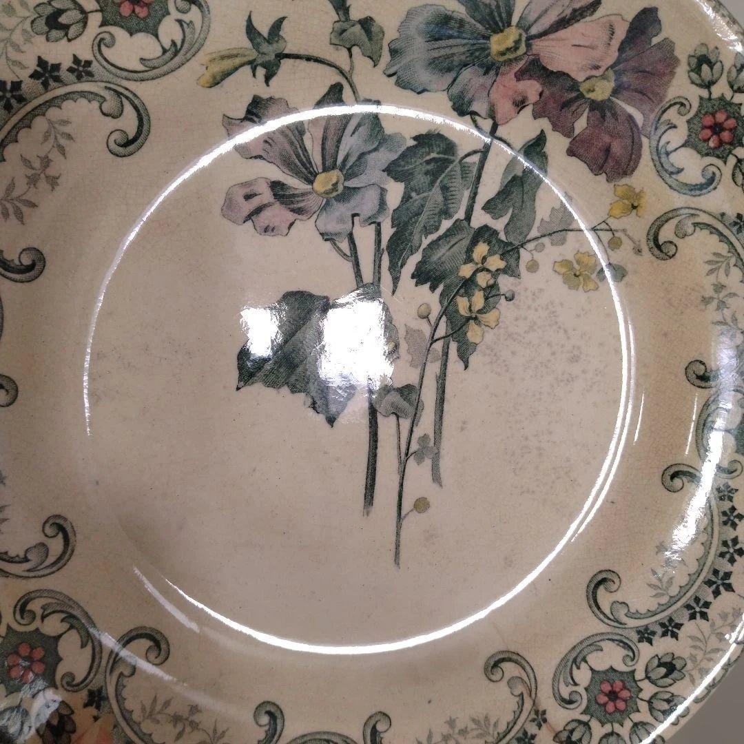 ライン他あり・ショワジールロワプレート・切り花/フランス