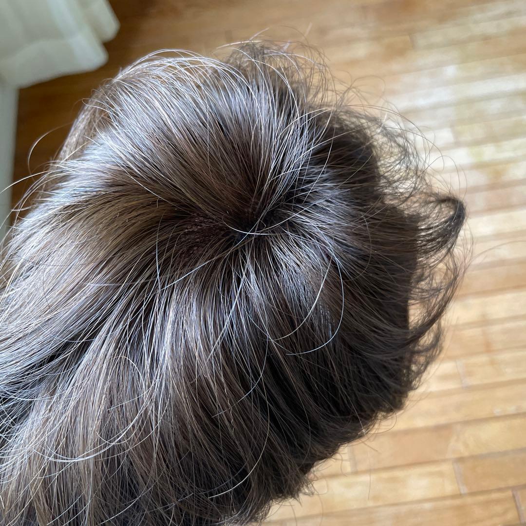 フォンテーヌレディースウィッグ新品未使用