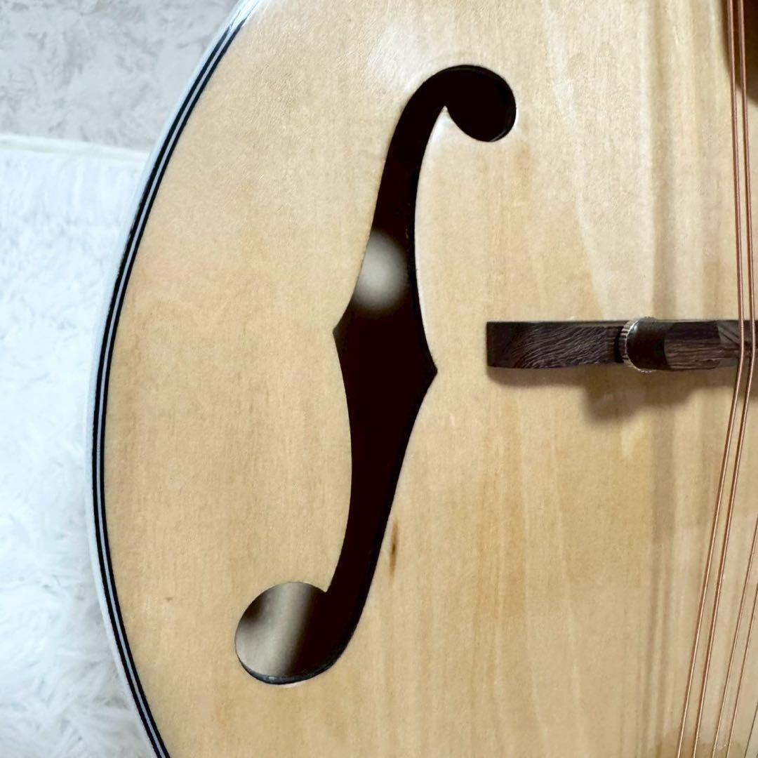 希少美品』Mylowe フラットマンドリン ハードケース付き - メルカリ