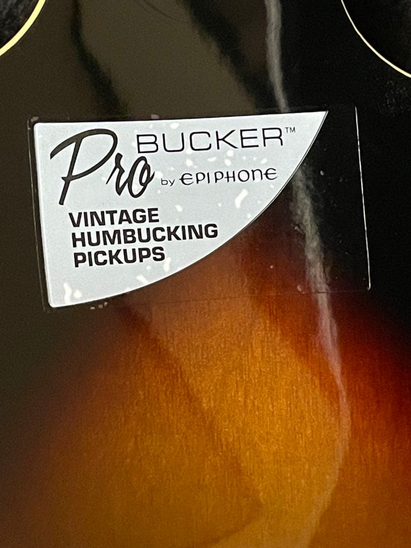 エピフォンEpiphone Dot VintageSunburst es335