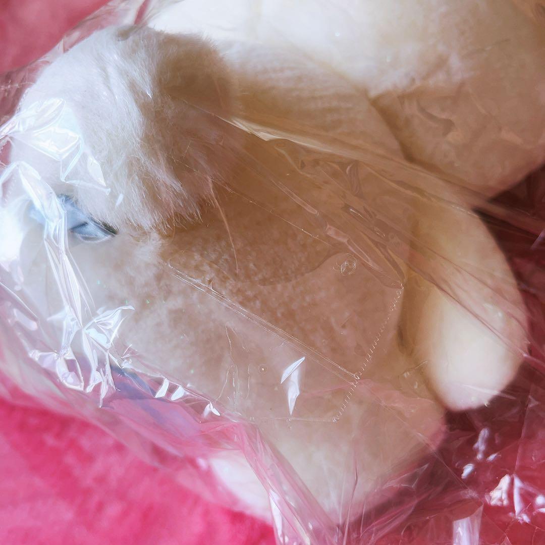 希少レア　ハローキティ　ぬいぐるみ　北海道限定　雪ウサギ　2000 サンリオ