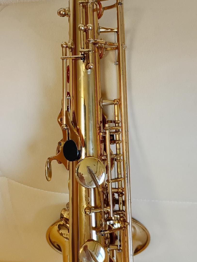 ヤナギサワテナーサックスT-50