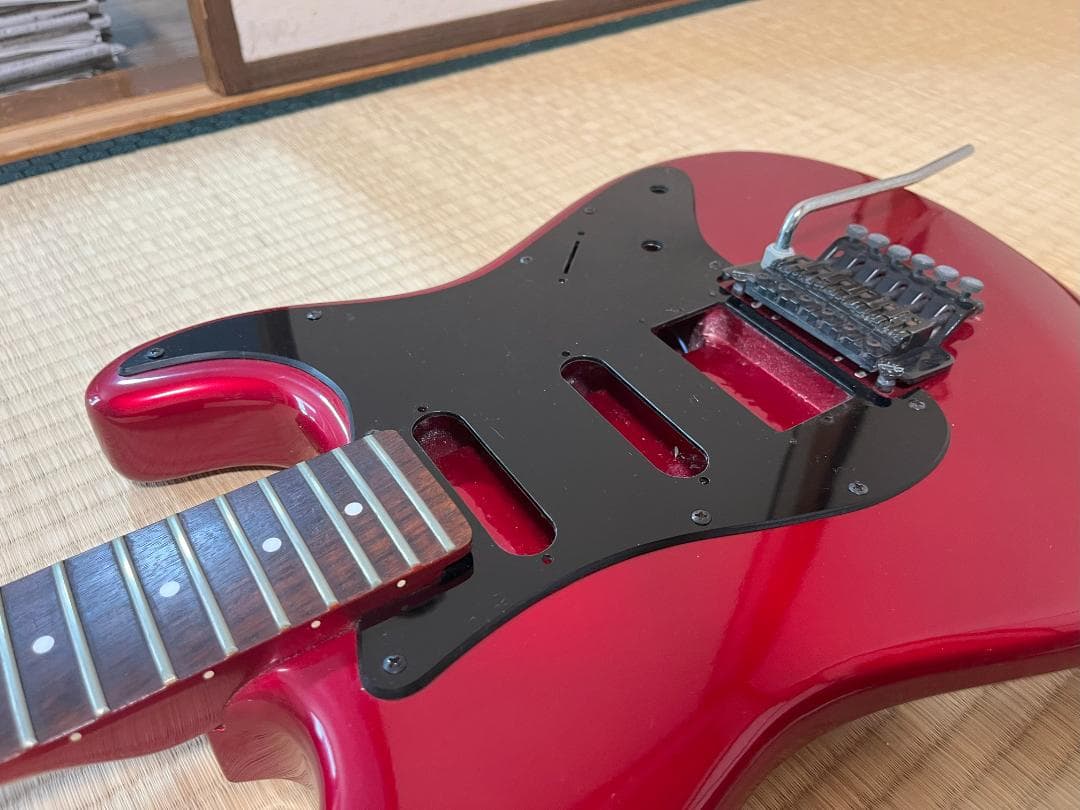 FERNANDES FST-65 電装系なし スケルトン