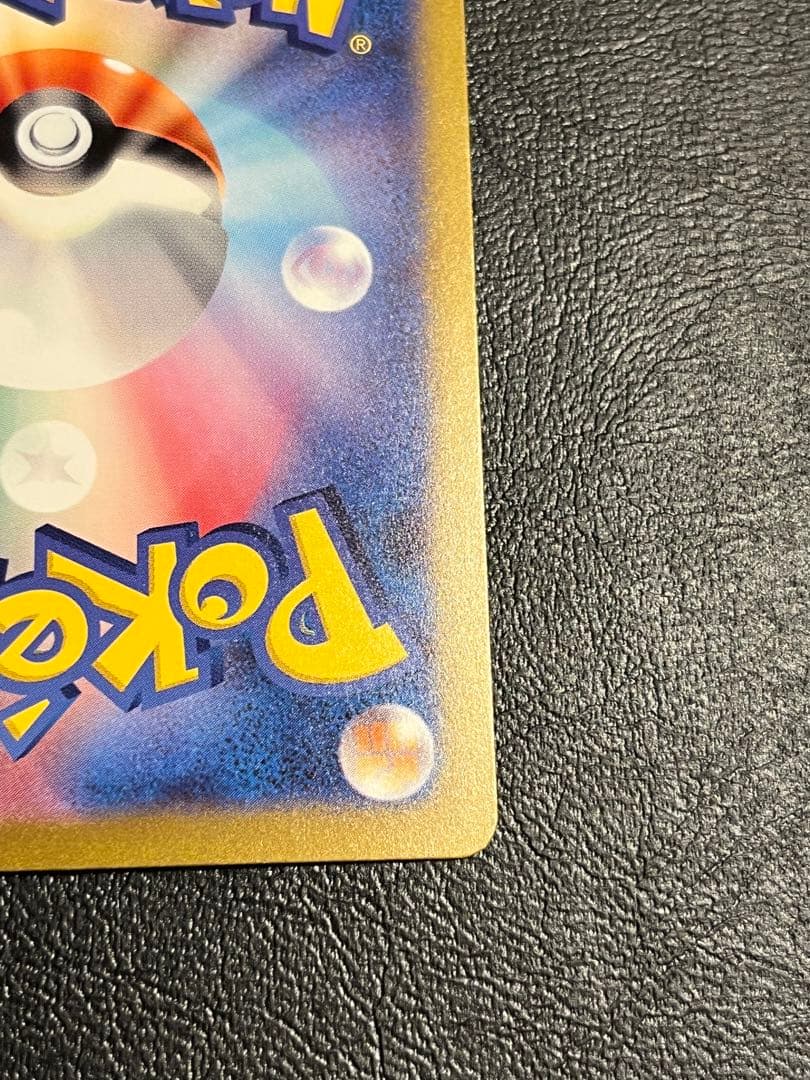 エリカの招待　SAR