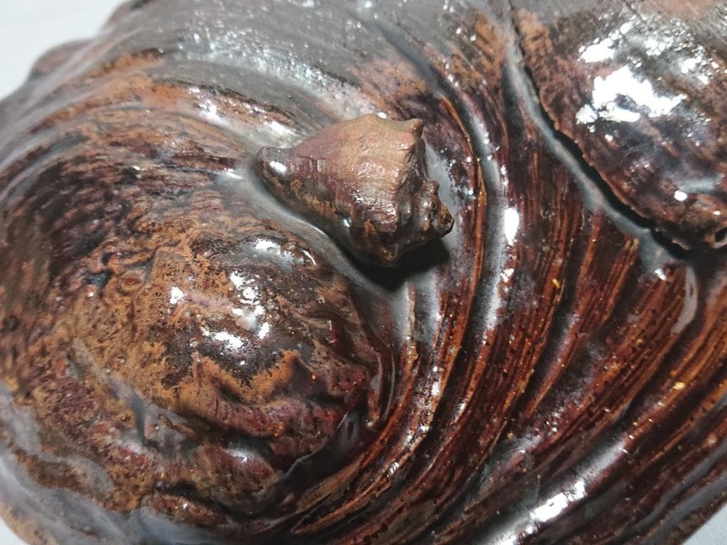 47 旧家蔵出し 茶道具 古高取 鮑型 鉢