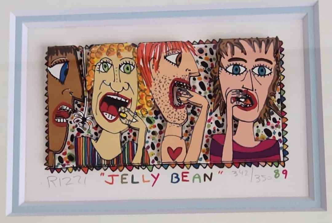 希少 ジェームスリジィ 特別額装 お花フレーム アメリカンポップアート 3D