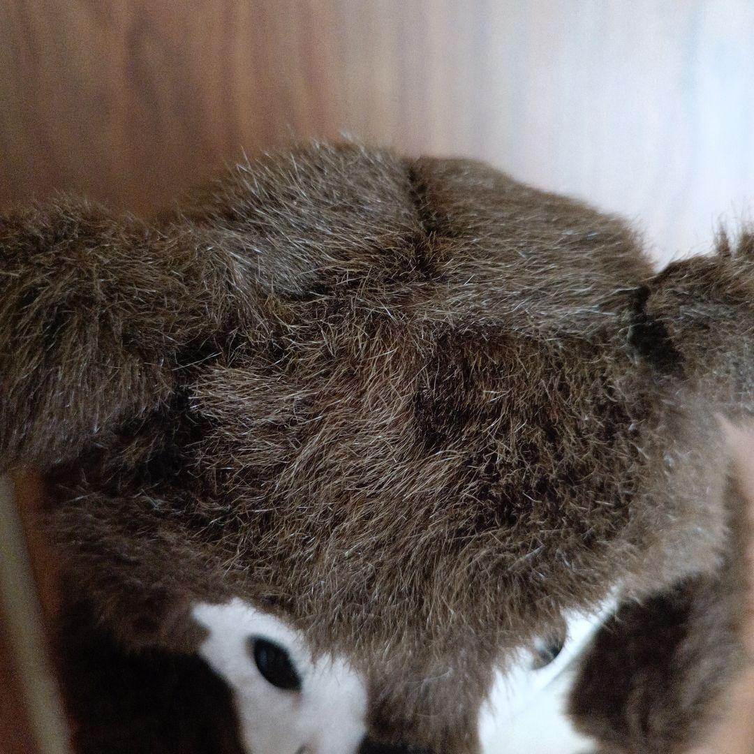 たぬきのたま吉 ファースト社 ぬいぐるみ レトロ ヴィンテージ 当時物